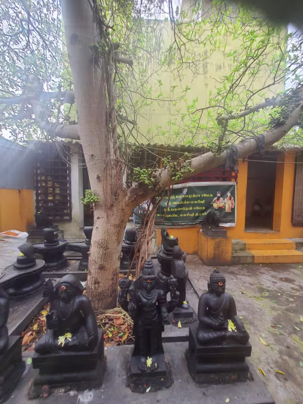 maharishi agastya siddhar swamigal (6) maharishi agastya siddhar swamigal (6)