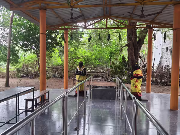 sri brahmarishi siddha (2)