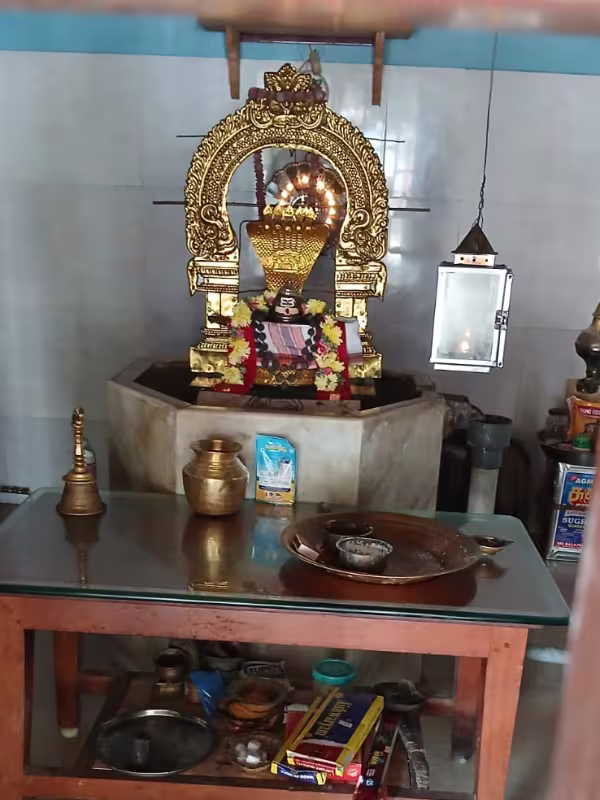 sri sarpa siddha (1) sri sarpa siddha (1)