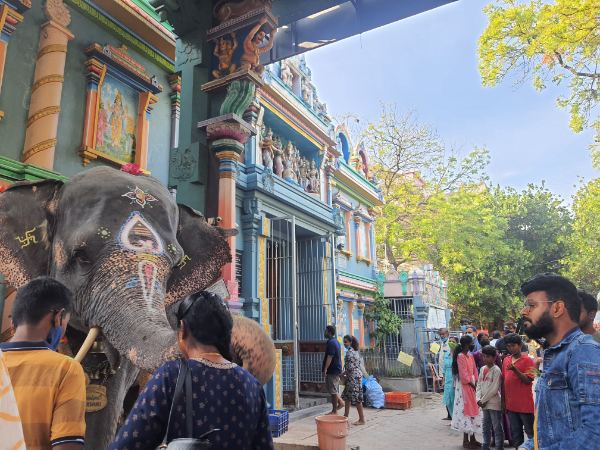 sri thollaikadu siddhar (3) sri thollaikadu siddhar (3)